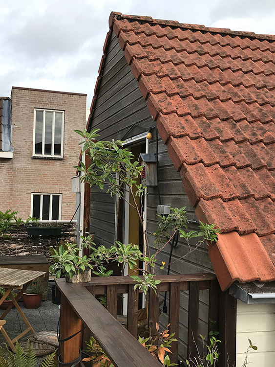 1814_terras