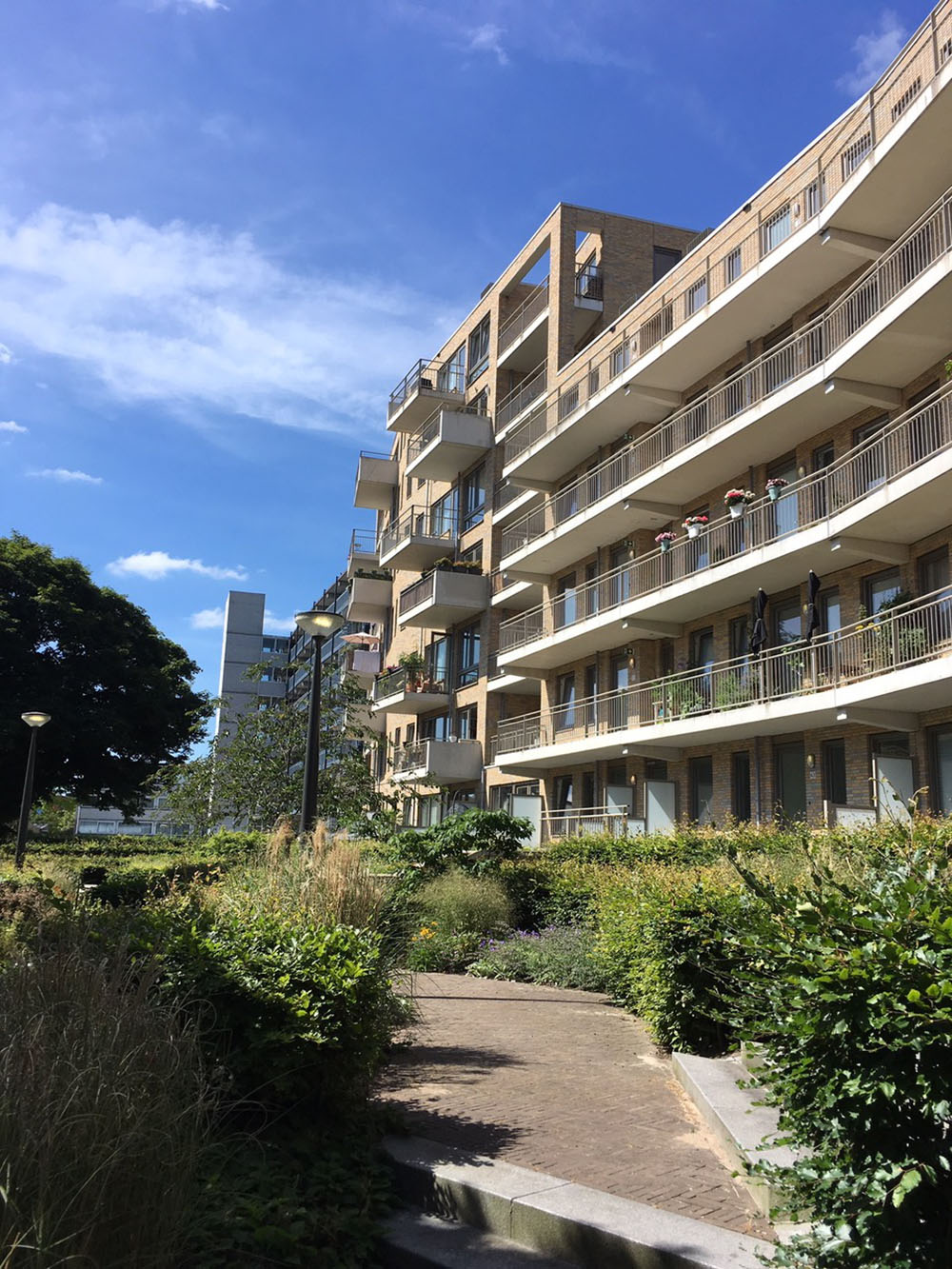 IMG_6863-1000_Zijdekwartier