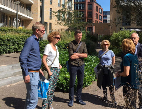 Groen, groener, groenst